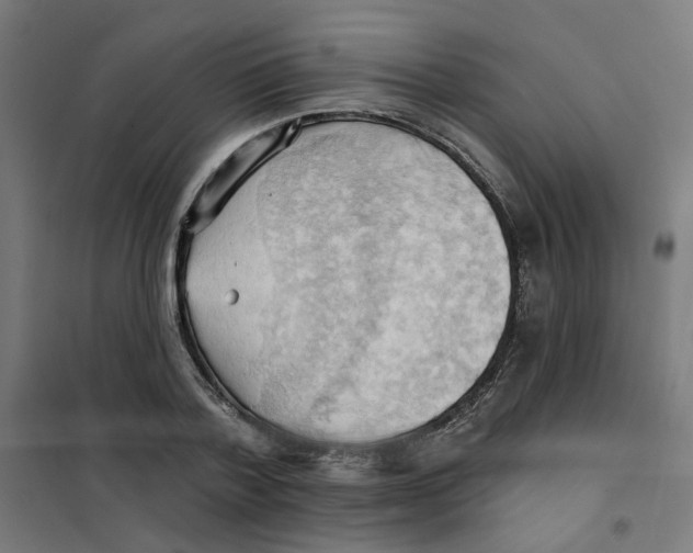 X0000101210788200807251048