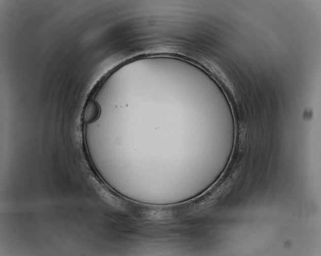 X0000101210789200807251048