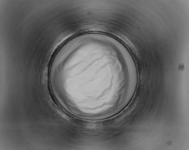 X0000101210790200807251048