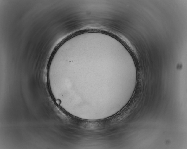 X0000101210791200807251048