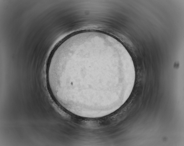 X0000101210792200807251048