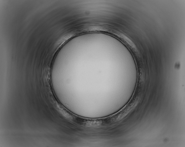 X0000101210793200807251048