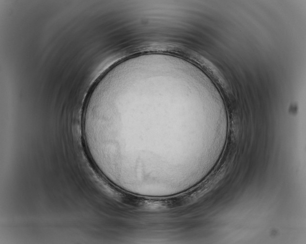 X0000101210794200807251048