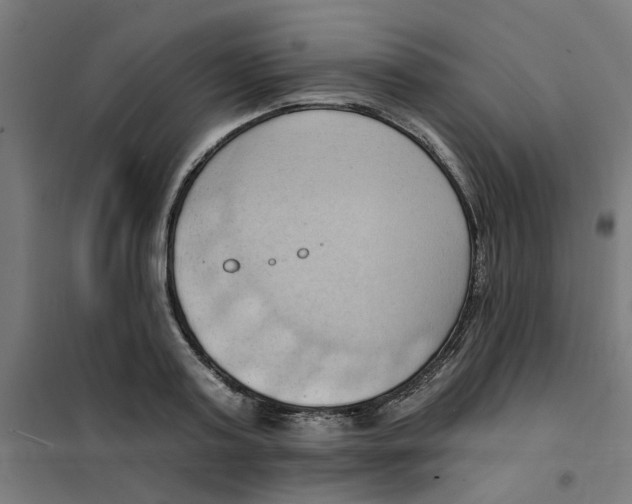 X0000101210795200807251048