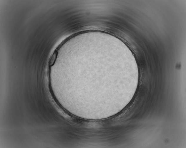 X0000101210796200807251048