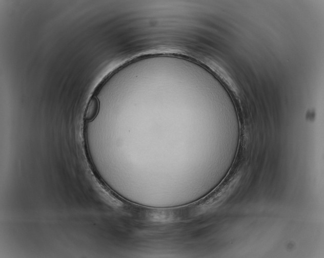 X0000101210797200807251048