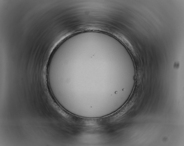 X0000101210798200807251048