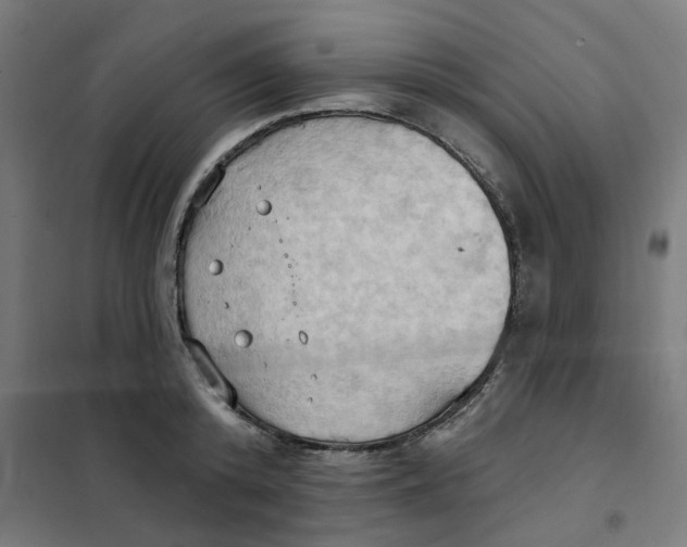 X0000101210800200807251048