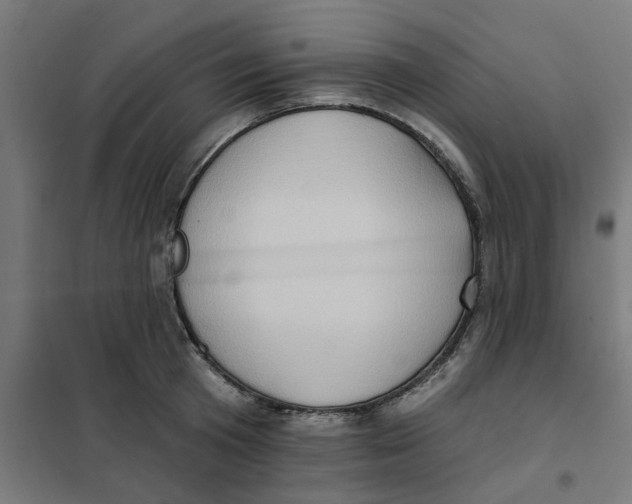 X0000101210801200807251048