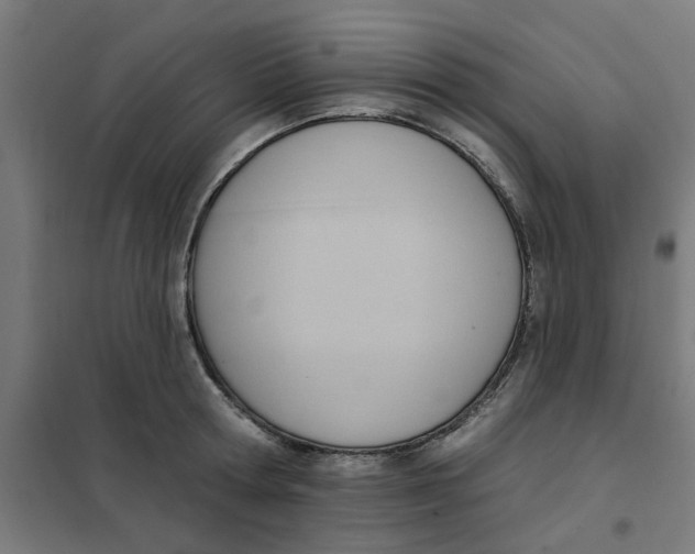 X0000101210802200807251048