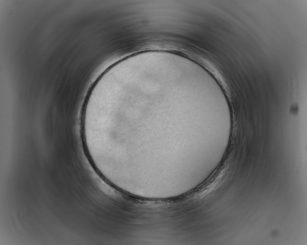 X0000101210803200807251048