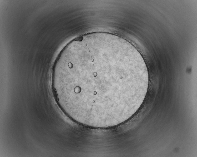 X0000101210804200807251048