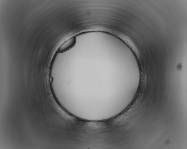 X0000101210805200807251048