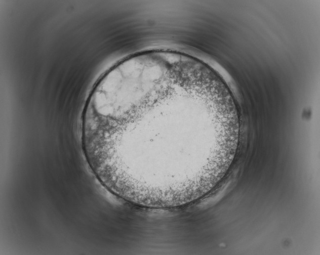 X0000101210807200807251048