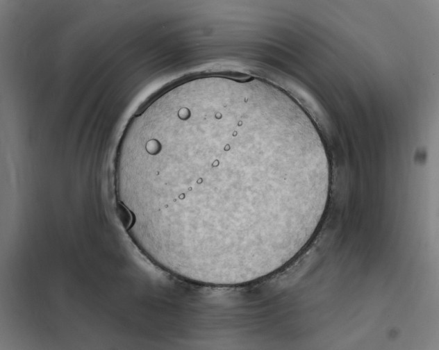 X0000101210808200807251048