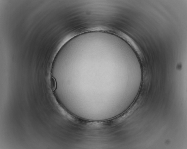 X0000101210810200807251048