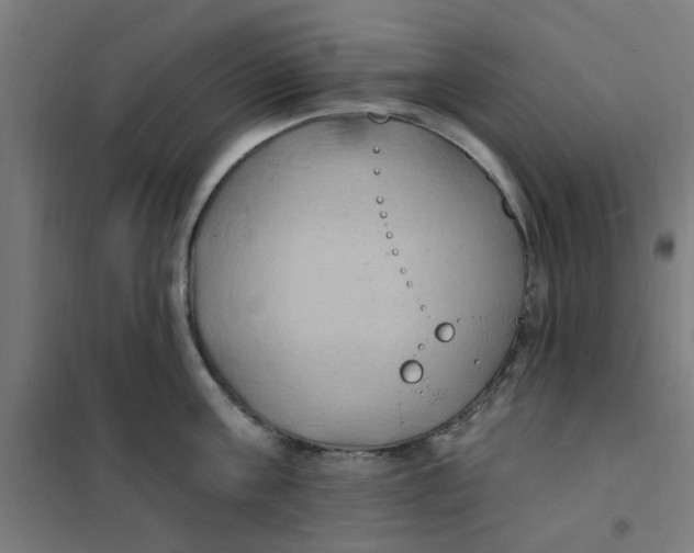 X0000101210811200807251048