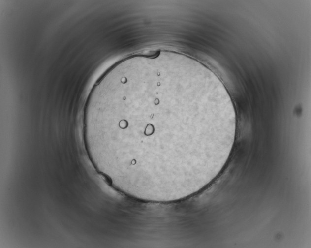 X0000101210812200807251048