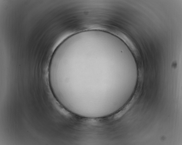 X0000101210814200807251048