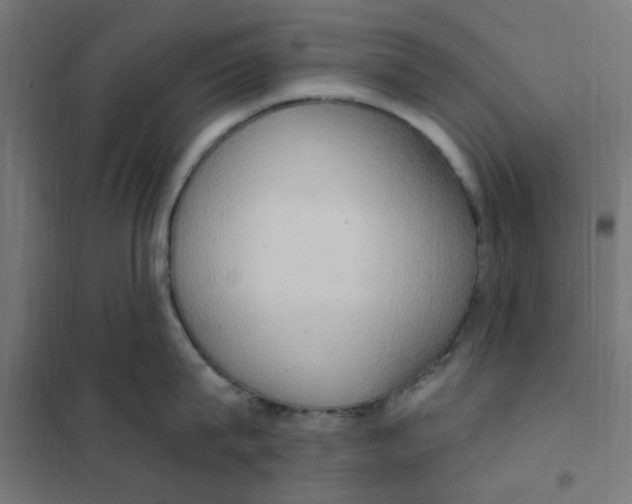 X0000101210815200807251048