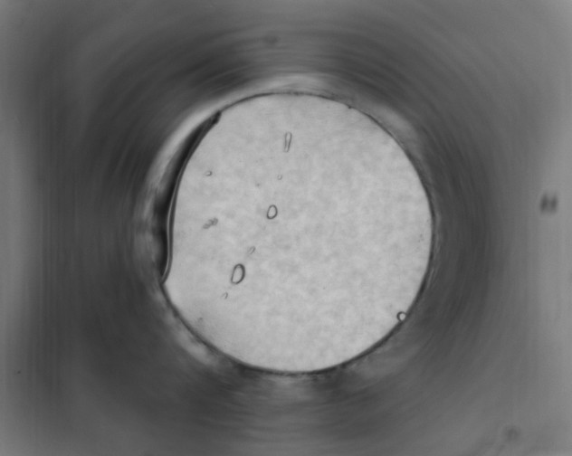 X0000101210816200807251048