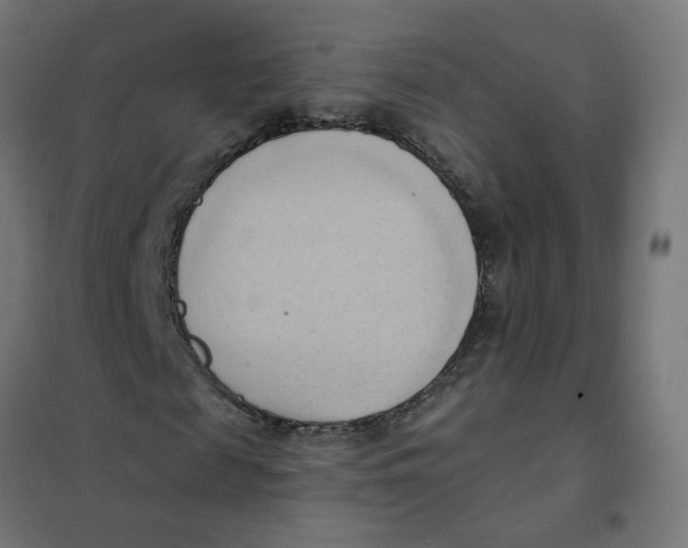 X0000101210817200807251047