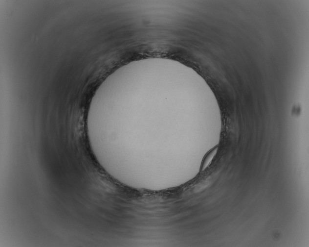 X0000101210818200807251047