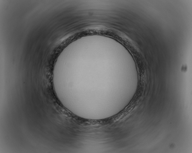 X0000101210822200807251047