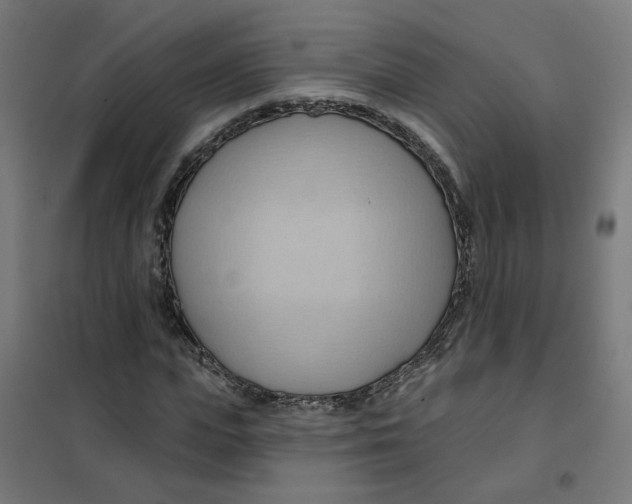 X0000101210823200807251047