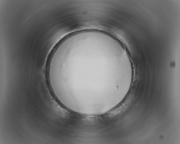 X0000101210828200807251047