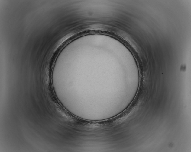 X0000101210829200807251047