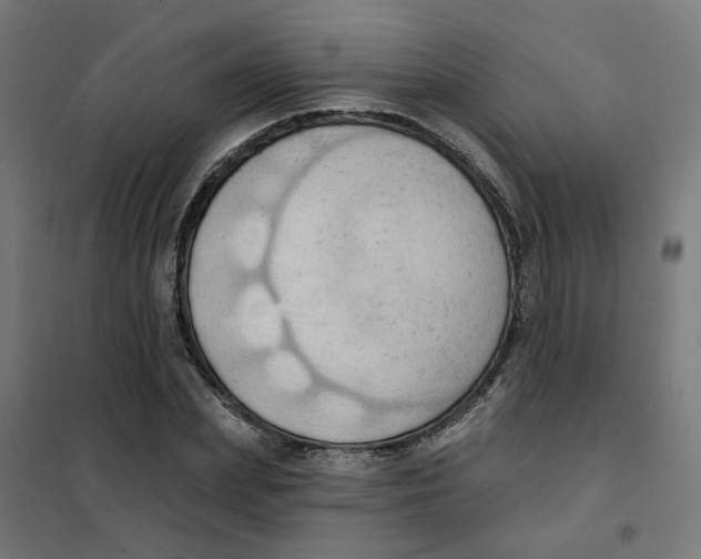 X0000101210831200807251047