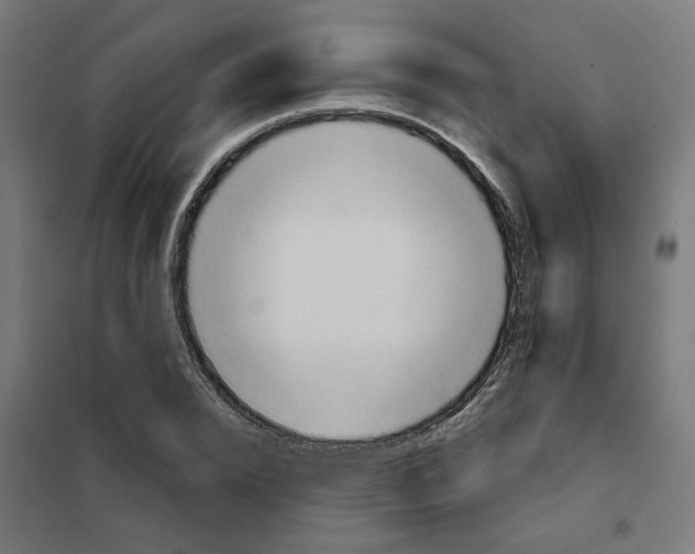 X0000101210832200807251047