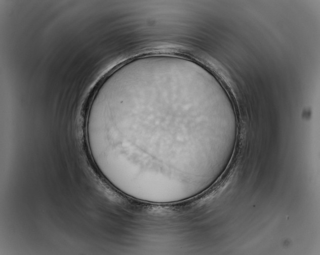 X0000101210835200807251047