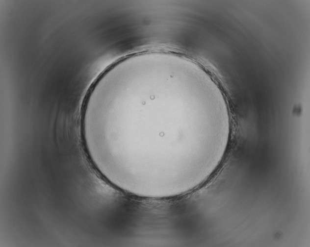 X0000101210836200807251047