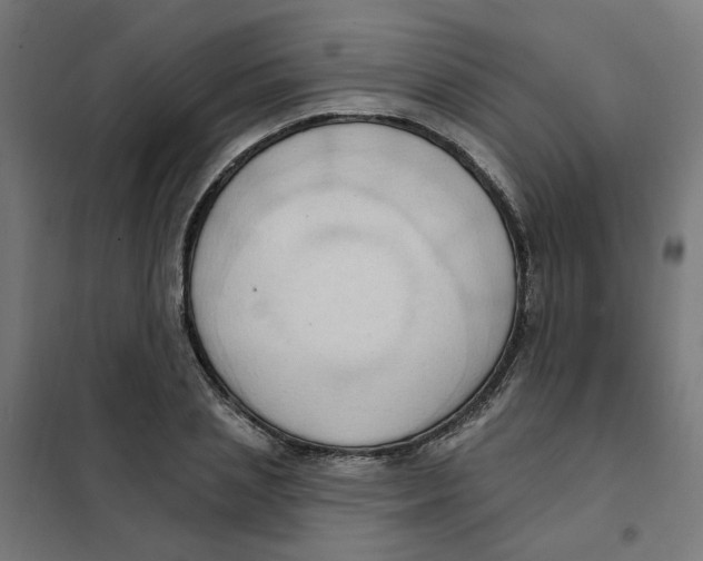 X0000101210837200807251047