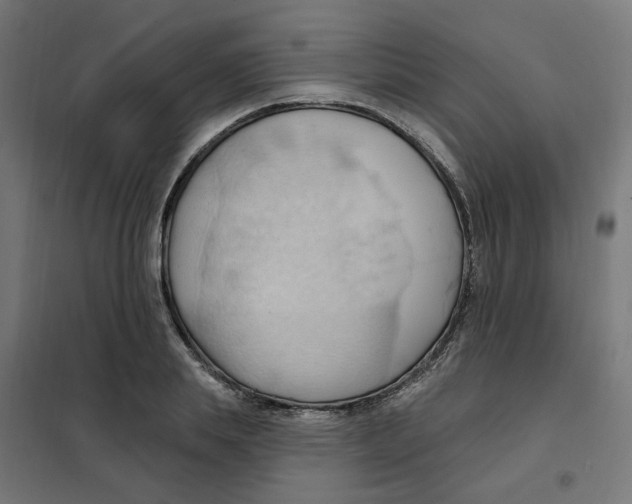 X0000101210839200807251047