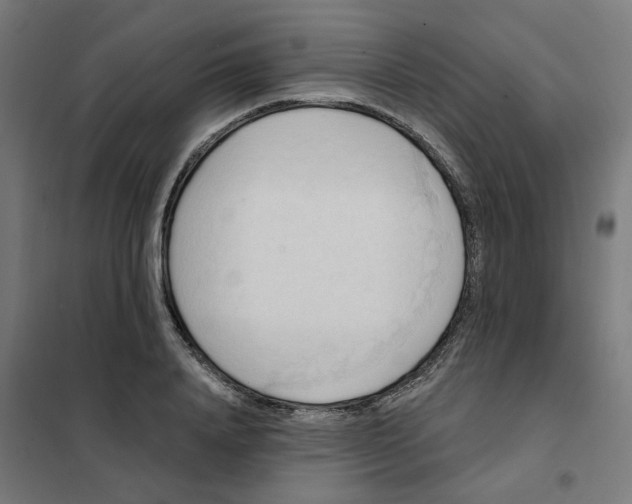 X0000101210840200807251047