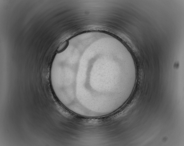 X0000101210841200807251047