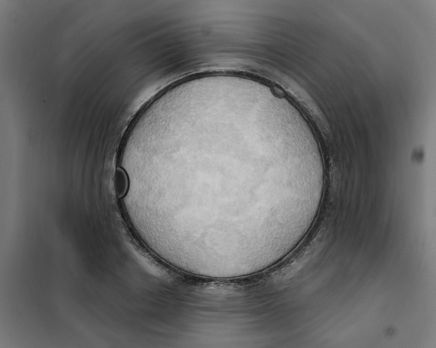 X0000101210842200807251047