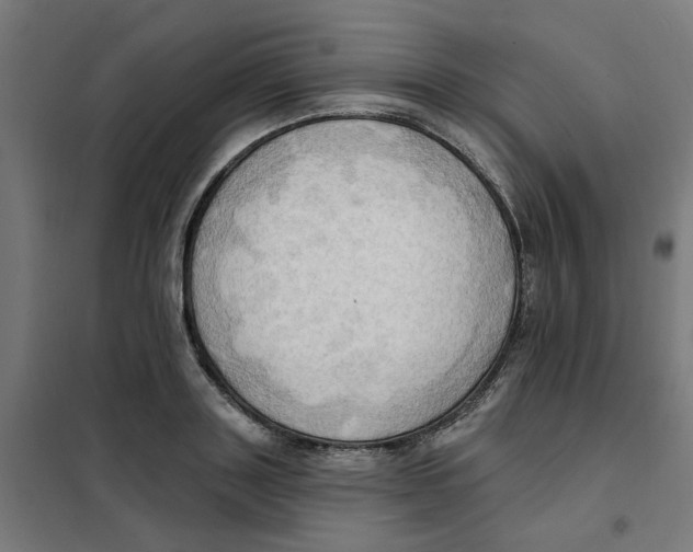 X0000101210843200807251047