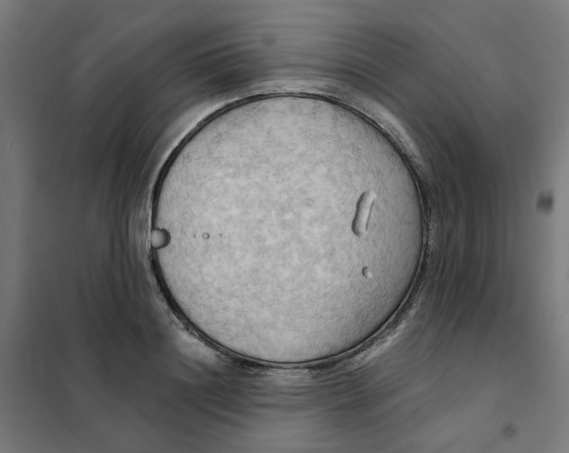 X0000101210844200807251047