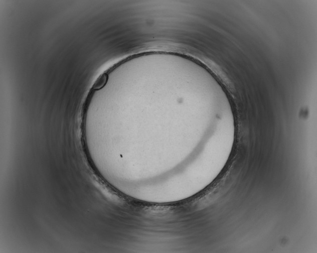 X0000101210846200807251047