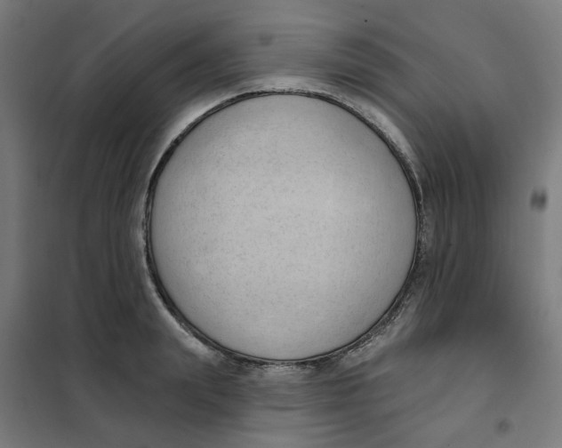 X0000101210847200807251047