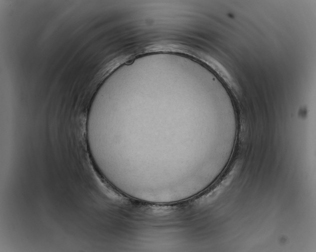 X0000101210849200807251047