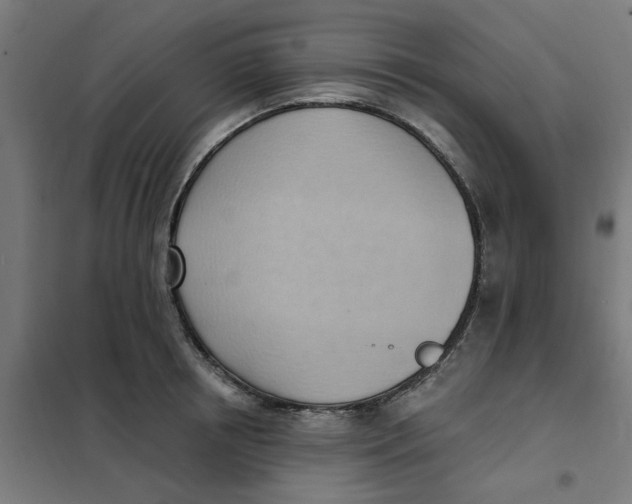 X0000101210850200807251047