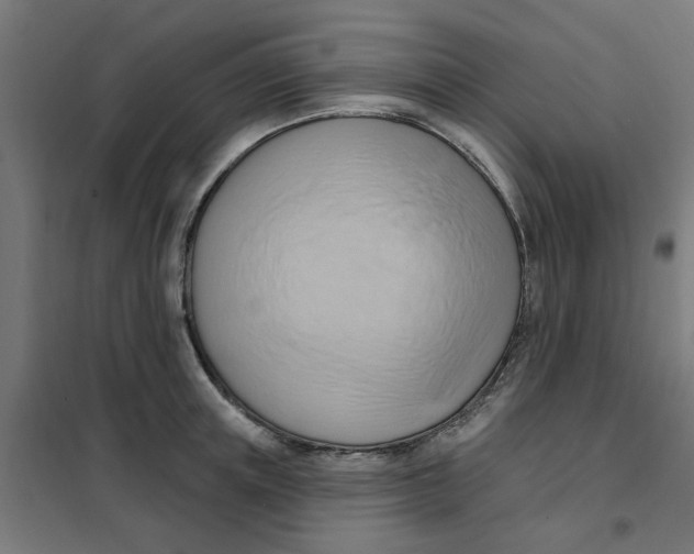 X0000101210851200807251047