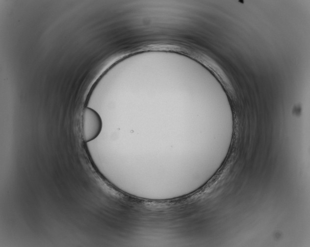 X0000101210852200807251047