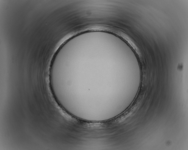 X0000101210853200807251047