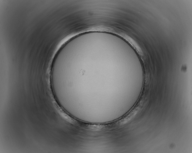 X0000101210854200807251047